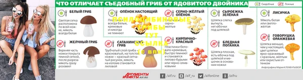 прущая мука Болотное