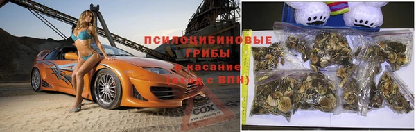 твердый Белокуриха