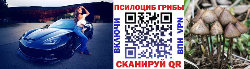 магазин продажи   Вяземский  Галлюциногенные грибы мухоморы 